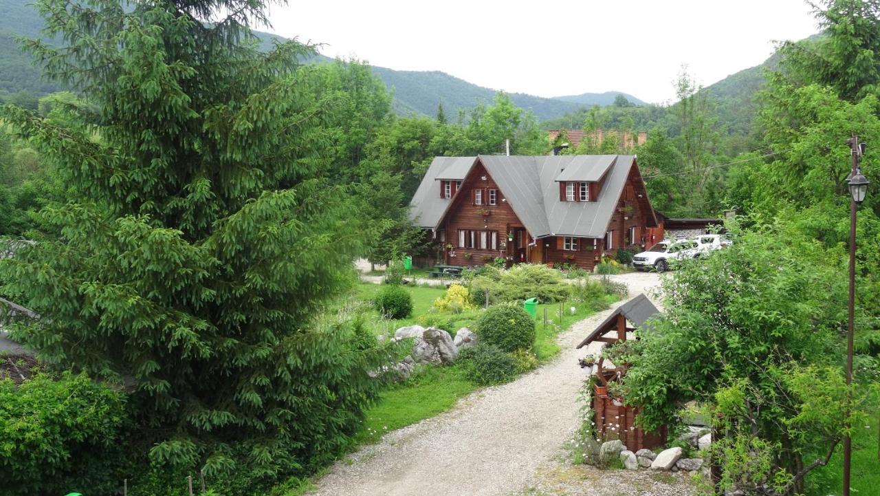 Casa Edelweiss - Gyopar - Flore De Colt Rimetea Exteriér fotografie