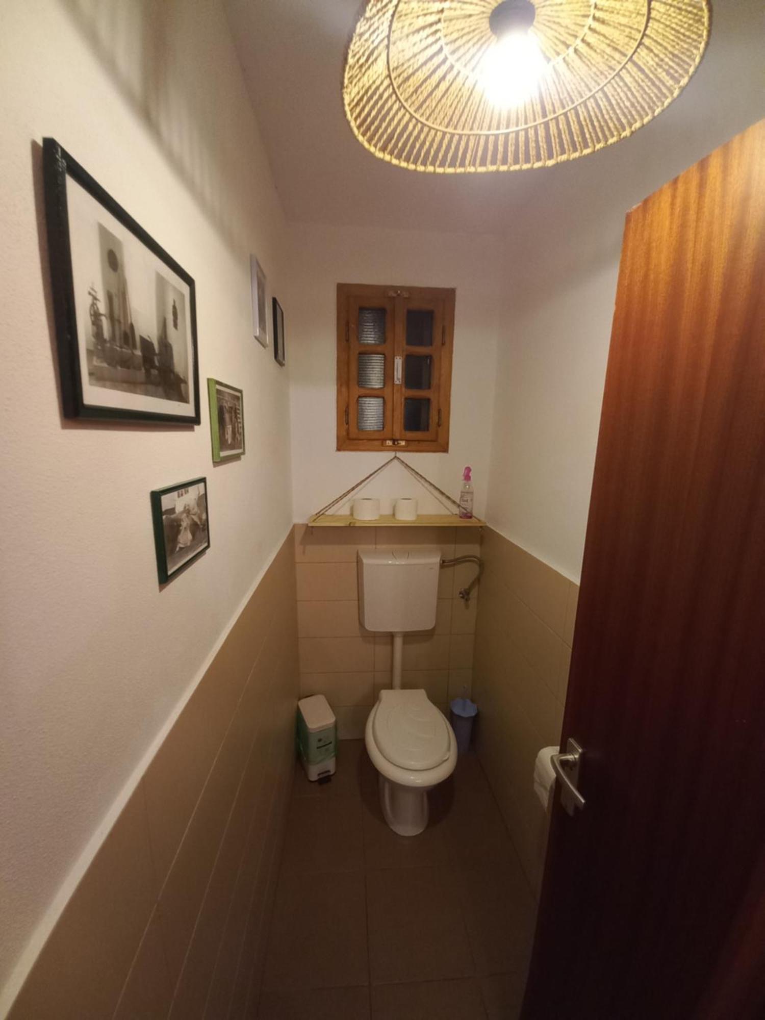 Casa Edelweiss - Gyopar - Flore De Colt Rimetea Exteriér fotografie